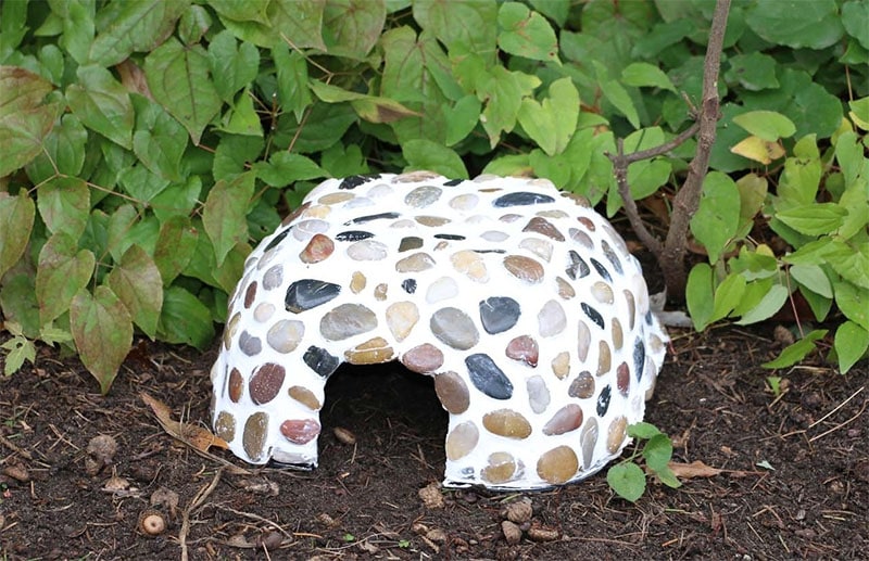 How to Make a Toad House