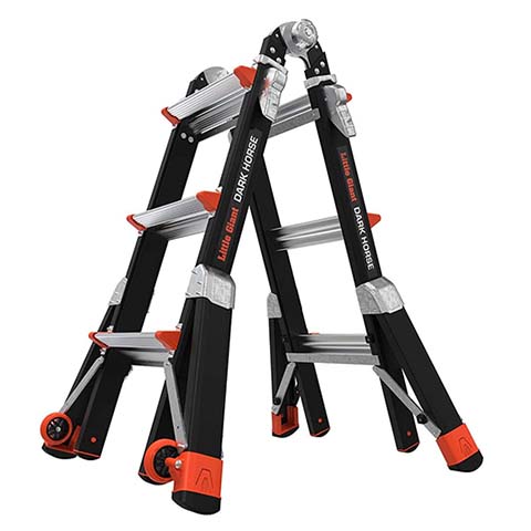 Little Giant Ladders, Dark Horse
