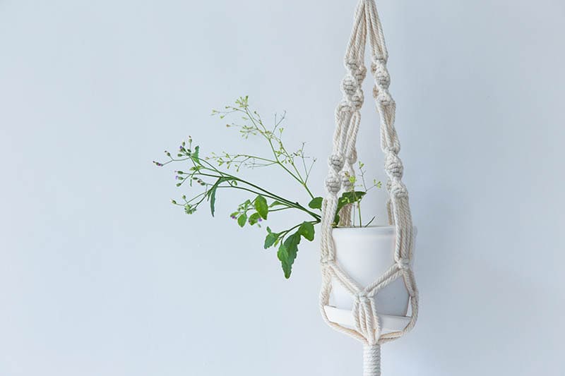 Macrame plant hangers in scandinavian interior.