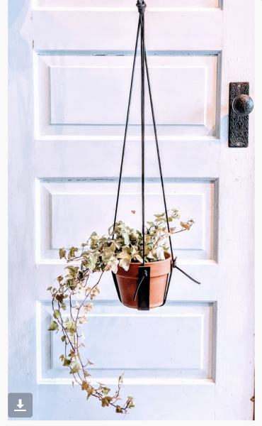 Make Your Own Leather Plant Hanger