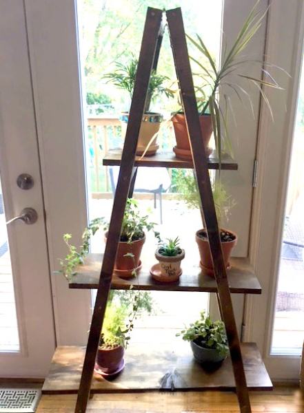 Make a Ladder Plant Stand – Easy DIY – Only $20 for Lumber