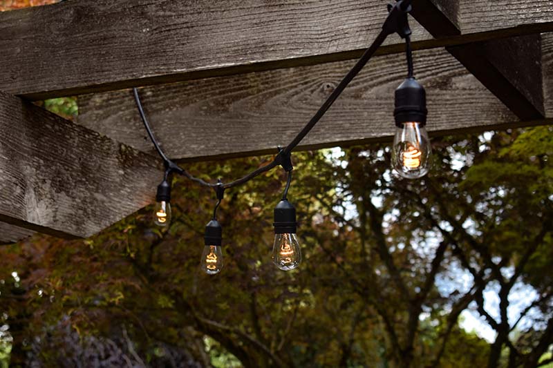 Outdoor lights