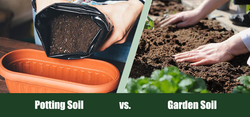 Potting Soil vs Garden Soil