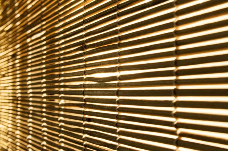 Retro Bamboo shades blind in afternoon sunlight