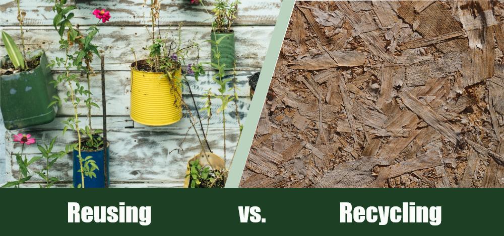 Reusing vs Recycling - Featured Image