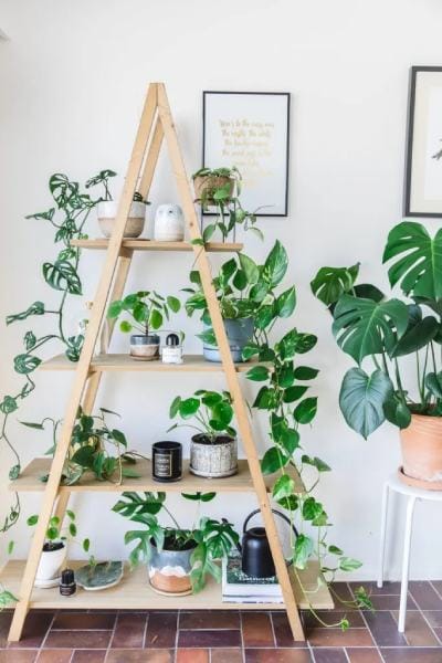 UNIQUE PLANT STANDS IDEAS FOR YOUR HOME