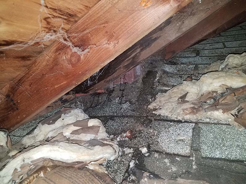 Water dripping down brick chimney in attic and wet insulation