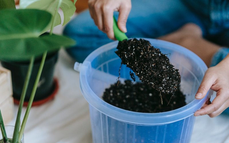 a person scooping potting soil with trowel