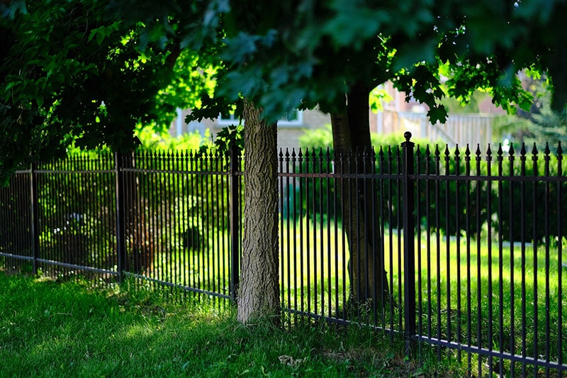 black fence