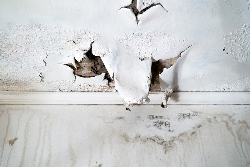 damaged ceiling drywall