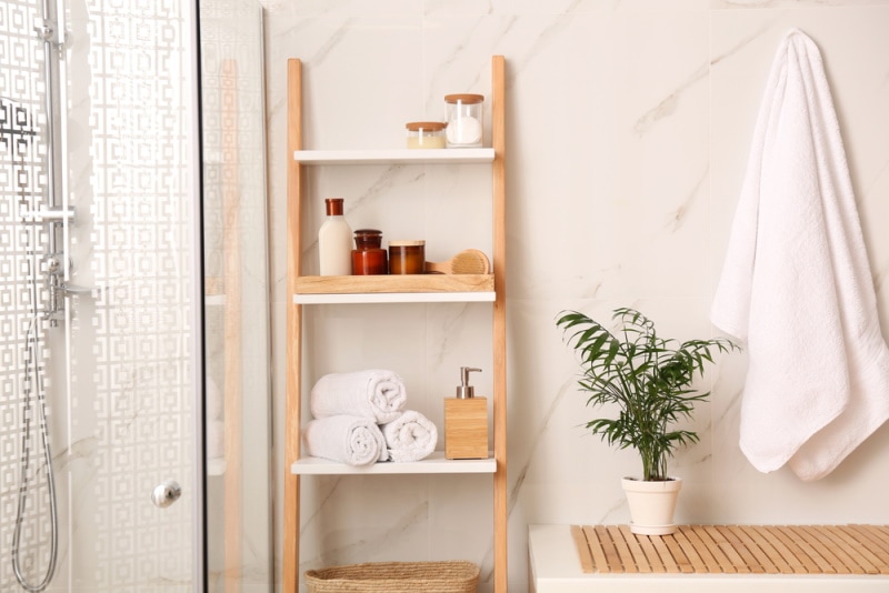 decorative ladder in the bathroom