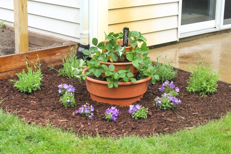 diy 3-tier strawberry planter