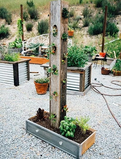 diy homegrown strawberry tower