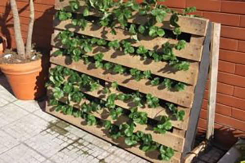 diy pallet planter