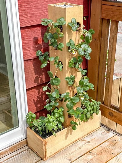 diy strawberry planter