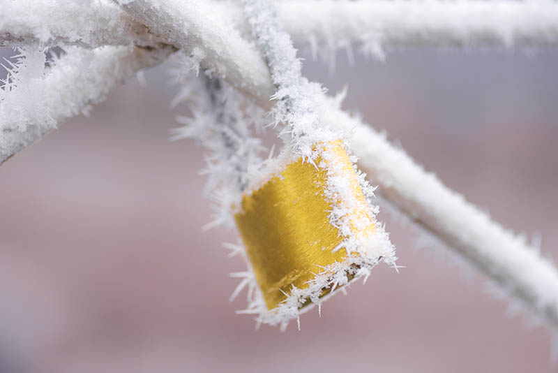 Frozen yellow padlock