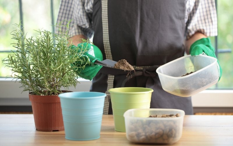 gardener putting soil into pots