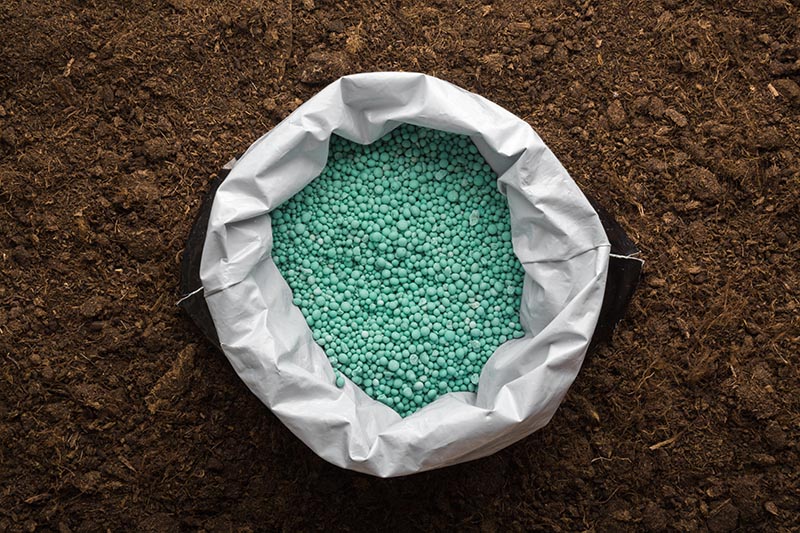 green complex fertiliser granules on dark soil background