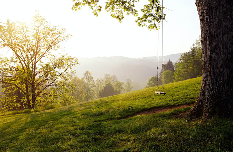 hanging wooden swing on a tree on a hill