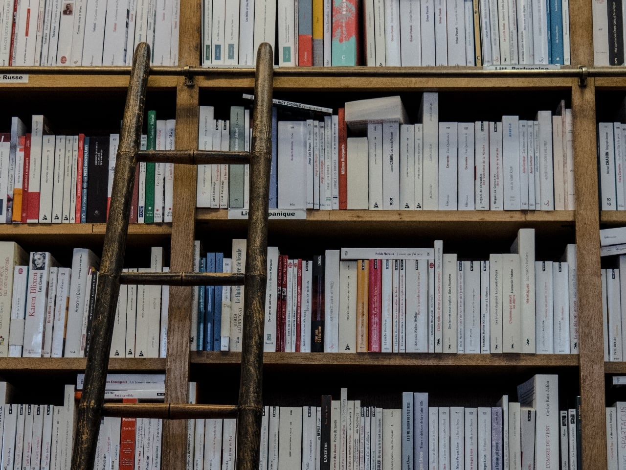 7 DIY Rolling Library Ladders You Can Build Today (With Pictures ...