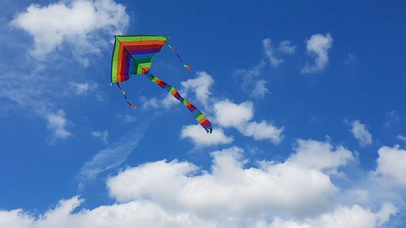 kite up in the sky
