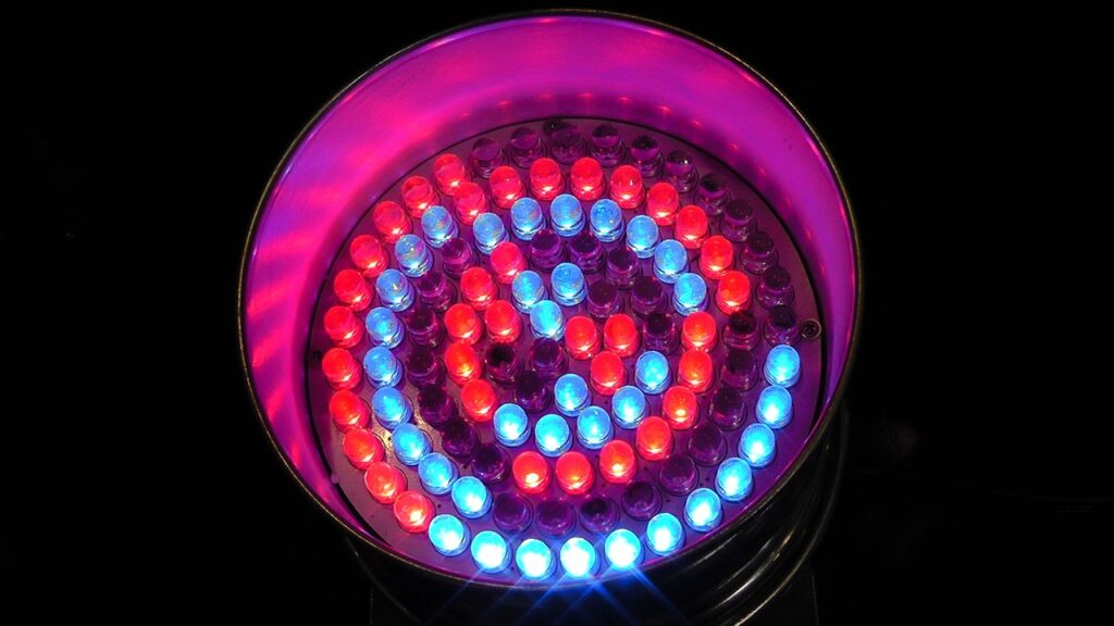 light emitting diodes