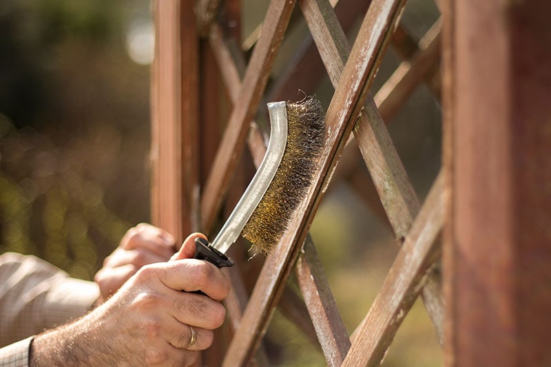 man holding a brush with wire hair