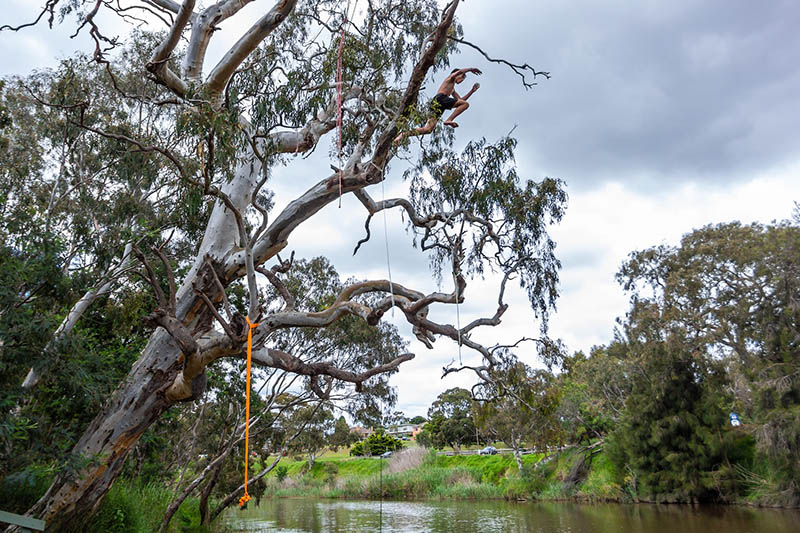 man jumping from the tree with rope swings