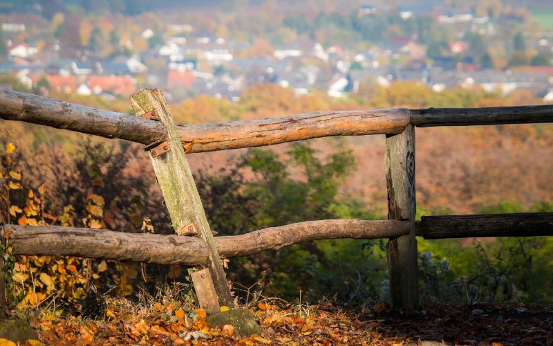 old rotted fallen fence post