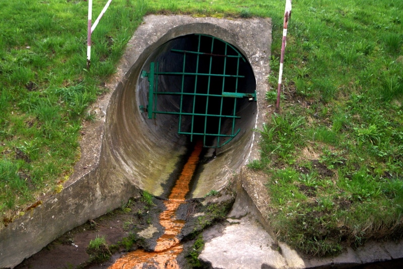 polluted water from the sewage