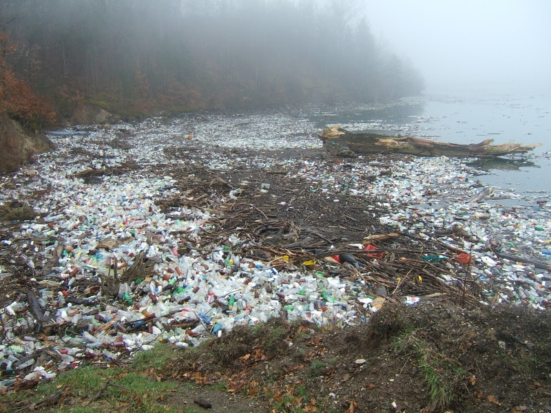 polluted water