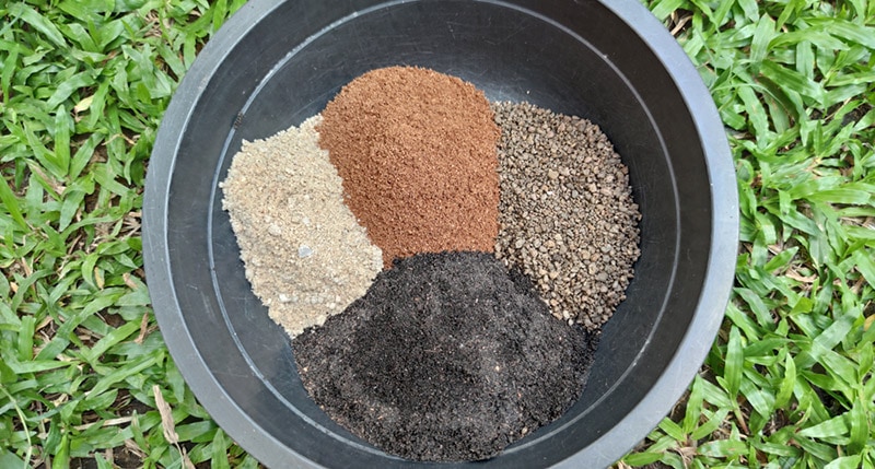 recipe for cactus soil mix
