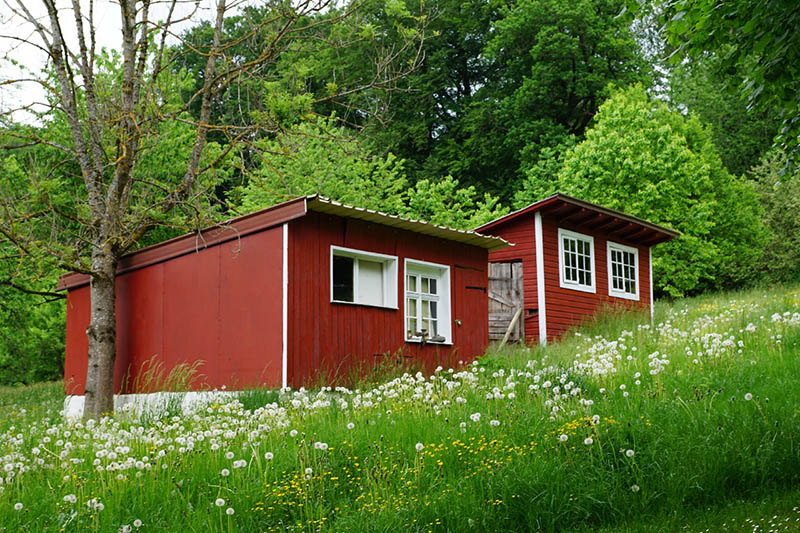 red tiny house in the forest