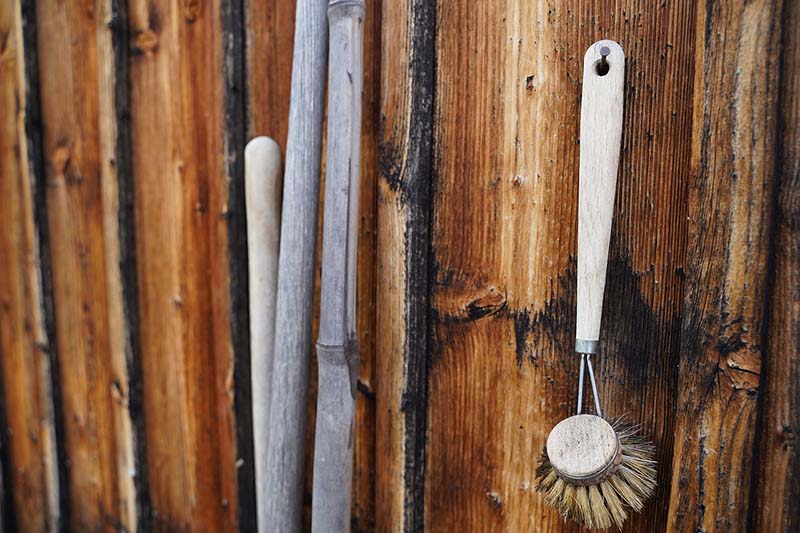 scrub brush wood fence