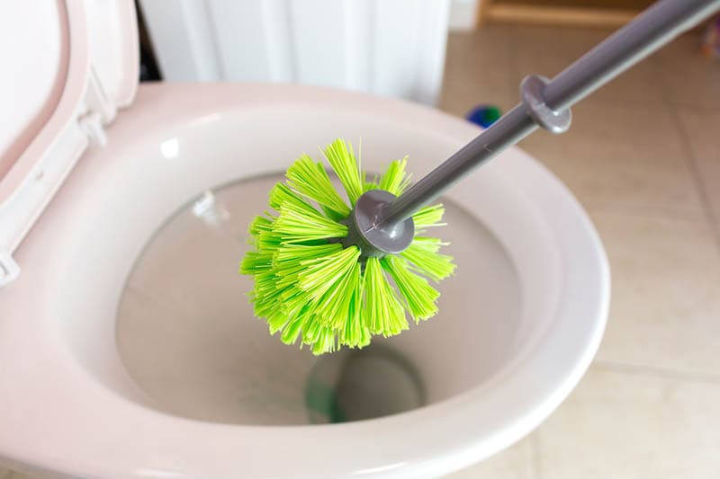 scrubbing toilet using toilet brush