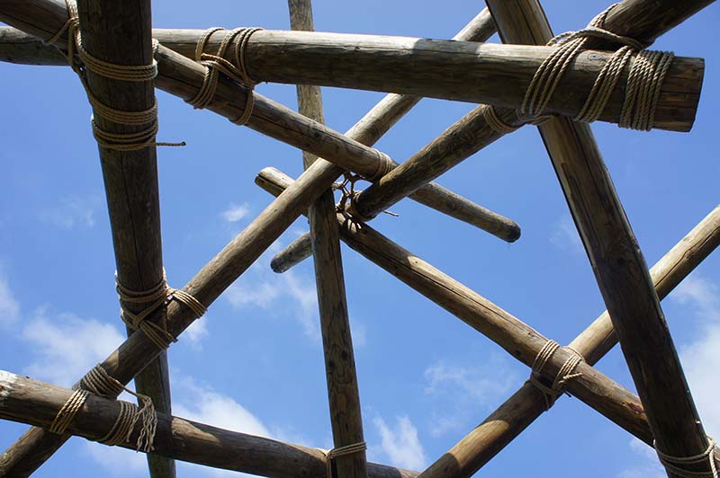 shear lashing