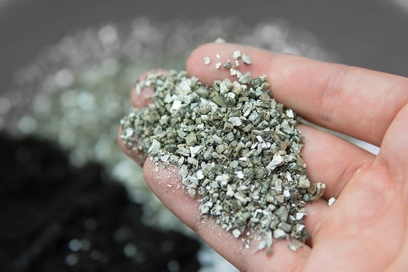 vermiculite in the hands of a man