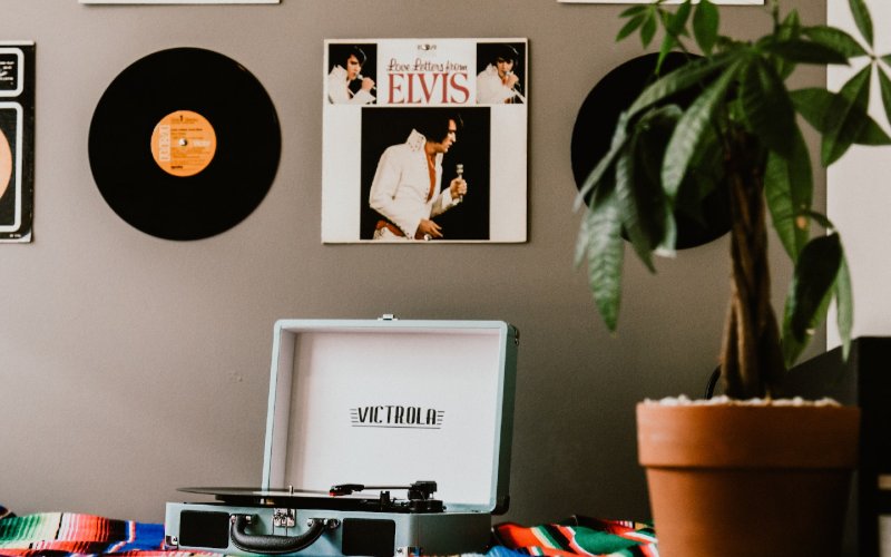 vinyl records hanging on the wall