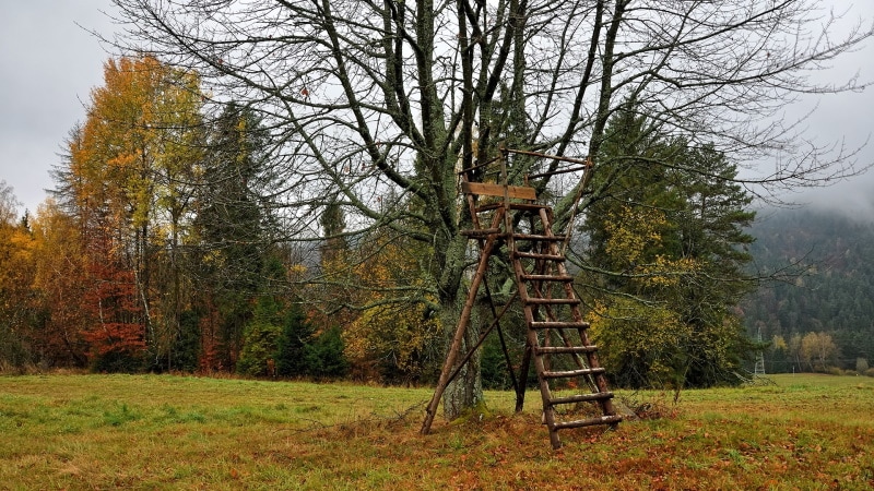 wooden ladder in the field