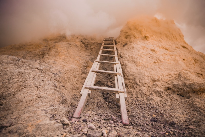 wooden ladder