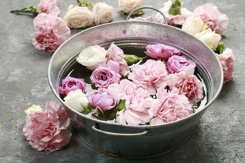 Roses in the bucket
