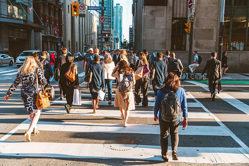 Crowd of unrecognisable people crossing street on traffic light zebra in the city of Toronto