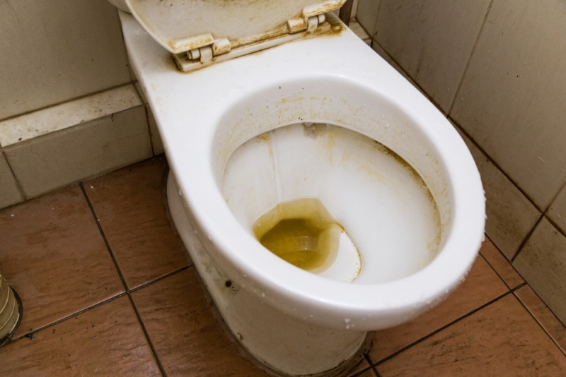 Dirty toilet bow with brownish water