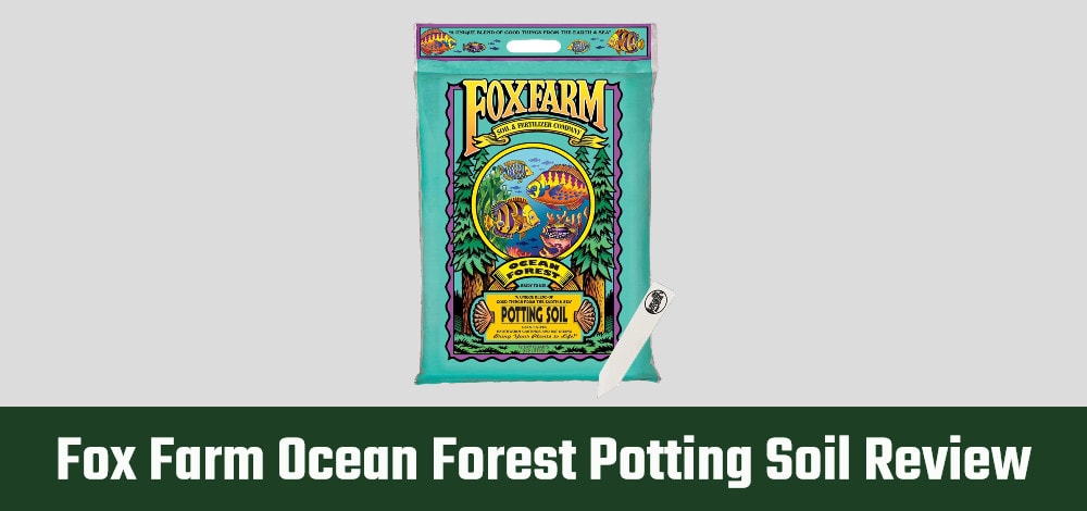 Fox Farm Ocean Forest Potting Soil Review - Featured Image