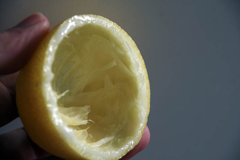 Lemon skin rind