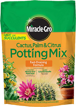 Miracle-Gro Cactus