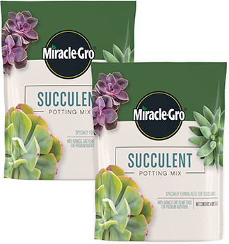 Miracle-Gro Succulent Potting Mix