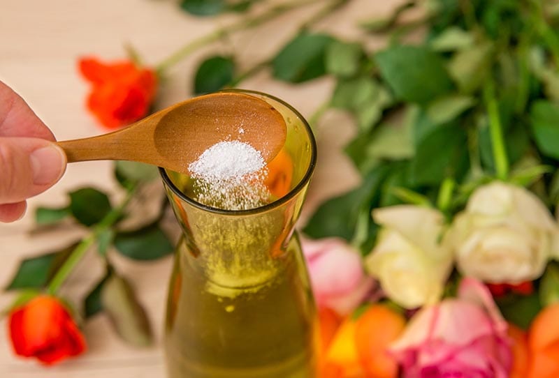 Person adding white flower food powder inside cut flower vase so cut flowers last longer fresh