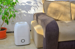 Portable dehumidifier colect water from air inside of living room