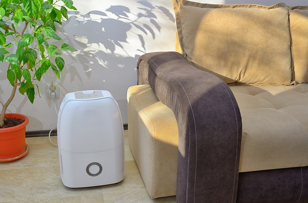 Portable dehumidifier colect water from air inside of living room